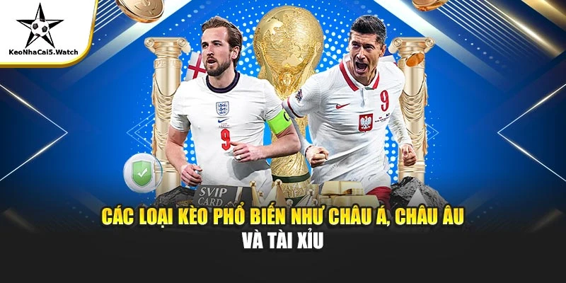 Các loại kèo phổ biến như châu Á, châu Âu và Tài Xỉu