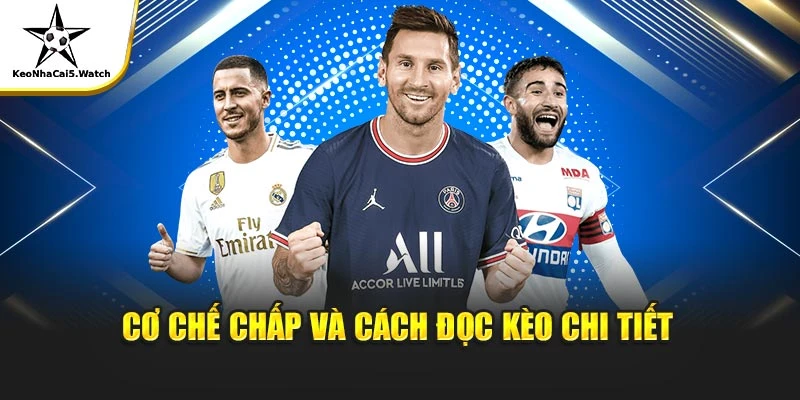 Cơ chế chấp và cách đọc kèo chi tiết