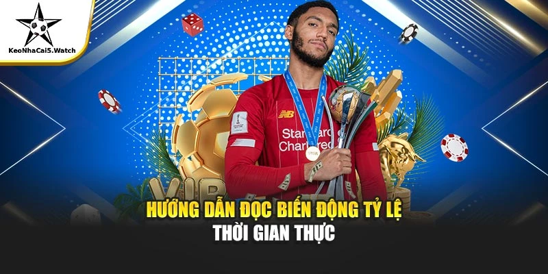 Hướng dẫn đọc biến động tỷ lệ thời gian thực