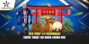 Kèo Chấp 1/4 Là Gì? Cách Hiểu & Bắt Kèo Chuẩn Nhất Cho Người Mới