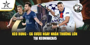 Kèo Rung Là Gì? Hướng Dẫn Cược Kèo Rung Tỷ Lệ Thắng Cao Nhất