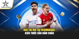 Kèo Tài Xỉu Là Gì? Cách Đặt Cược Hiệu Quả Tại Keonhacai5